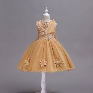 Luxury Fashion Gold Lace Birthday Princess Wedding Dress 5013